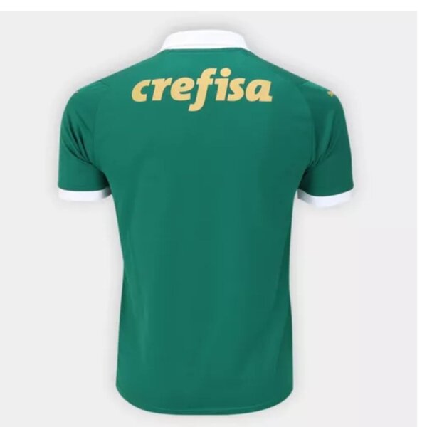 Camisa Palmeiras I 2024/25 Torcedor Masculina - Verde - Imagem 2