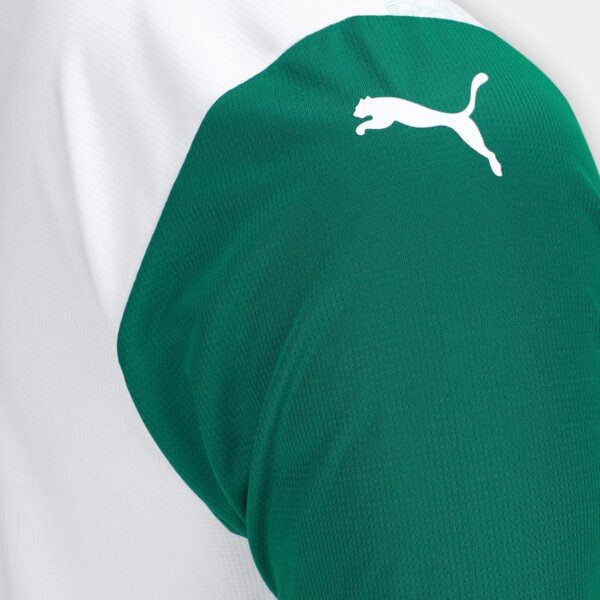 Camisa Palmeiras Polo II 25/26 Torcedor Masculina - Branca - Imagem 5